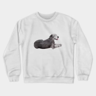 Great Dane Crewneck Sweatshirt